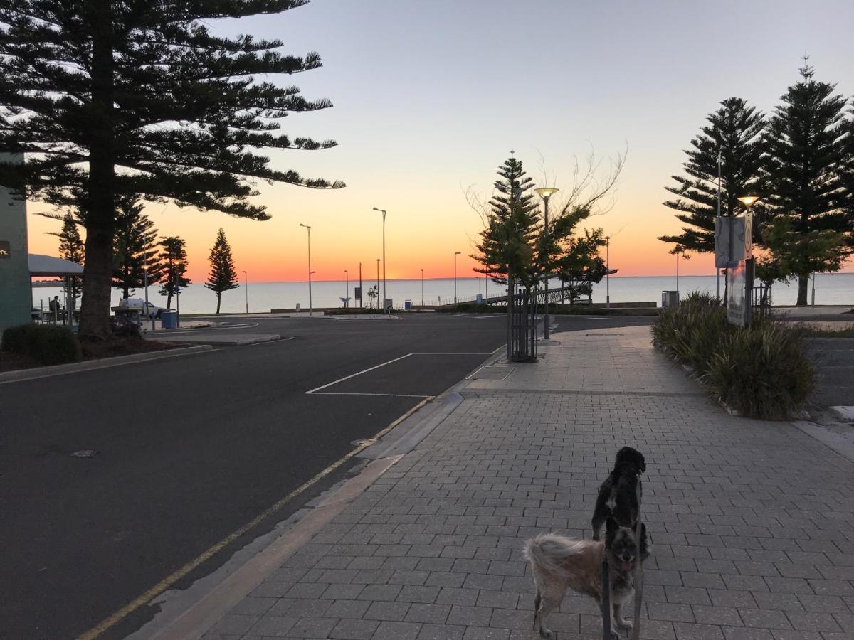 Big4 Ceduna Tourist Park Экстерьер фото